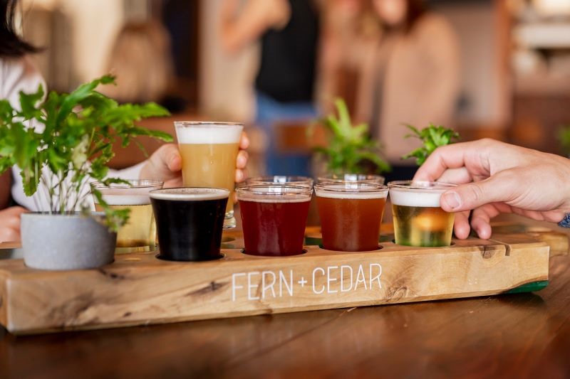 Fern and Cedar Brewery: A Blend of Art and Ale