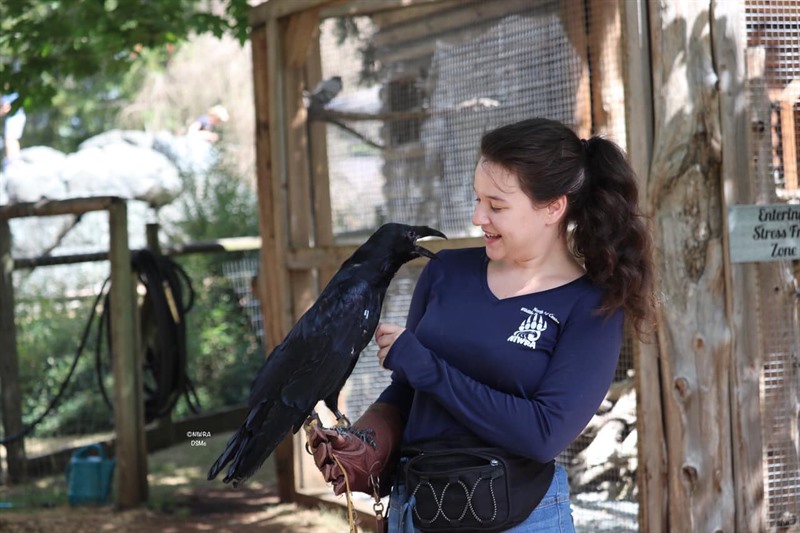 North Island Wildlife Recovery Centre 