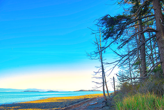 The Parksville/Qualicum Beach Area